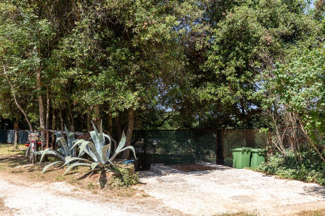 Holiday House Hana Rovinj Eksteriør bilde